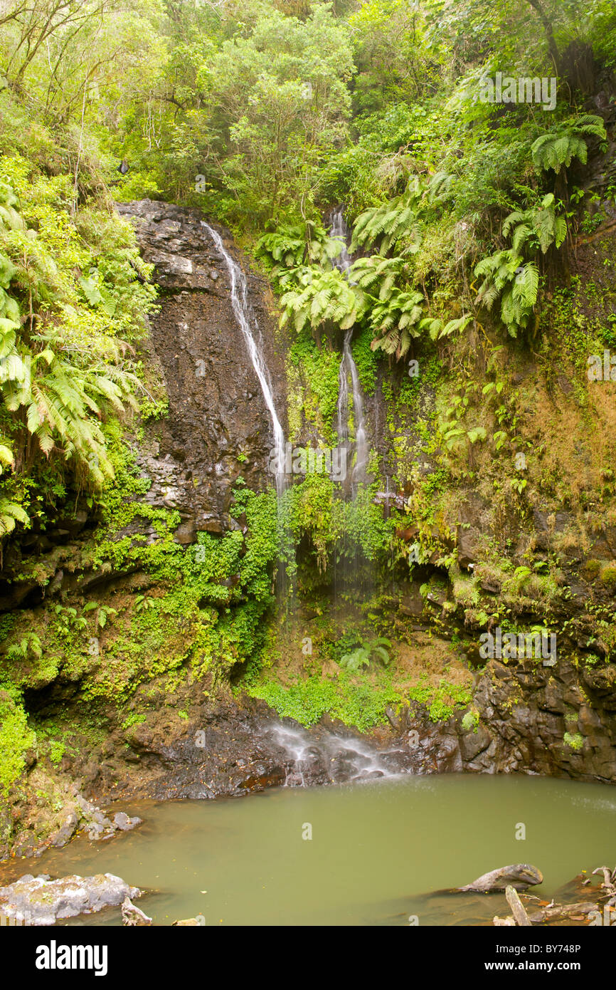 Der Heilige Wasserfall aka Petite Kaskade in Montagne d'Ambre National Park im Norden von Madagaskar. Stockfoto