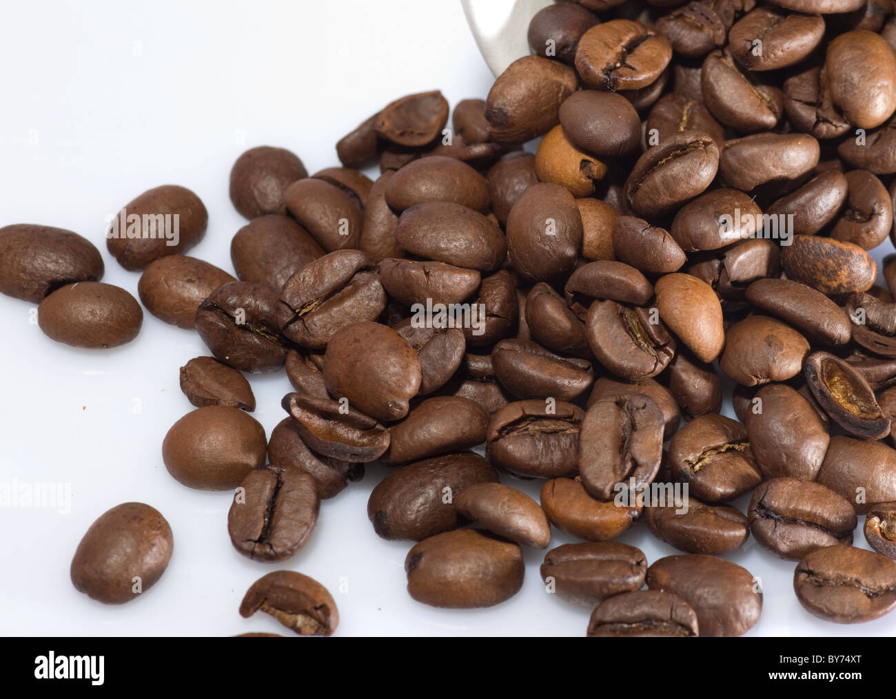 Kaffee Bohnen auf die Pour aus einer Tasse Stockfoto