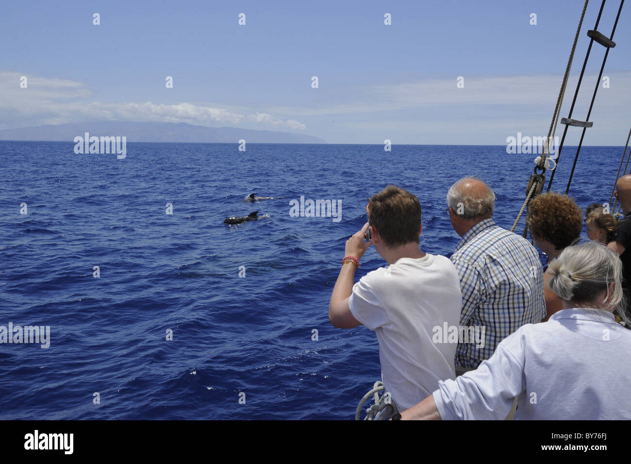 Wale und Delphine beobachten von Los Gigantes mit M/S Katrin, Santiago del Teide, Teneriffa, Spanien Stockfoto