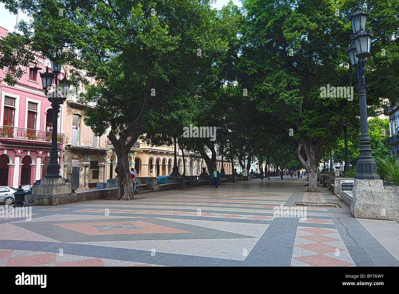 Kuba, Havanna. Das Prado-Museum, einer von Bäumen gesäumten Promenade in Zentral-Havanna. Stockfoto