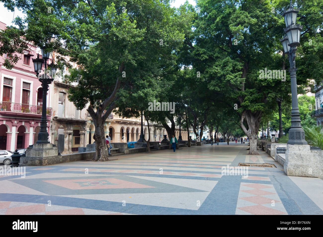 Kuba, Havanna. Das Prado-Museum, einer von Bäumen gesäumten Promenade in Zentral-Havanna. Stockfoto