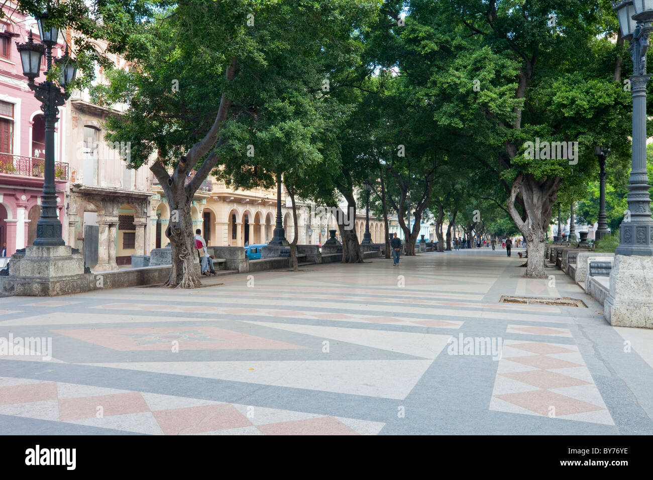 Kuba, Havanna. Das Prado-Museum, einer von Bäumen gesäumten Promenade in Zentral-Havanna. Stockfoto