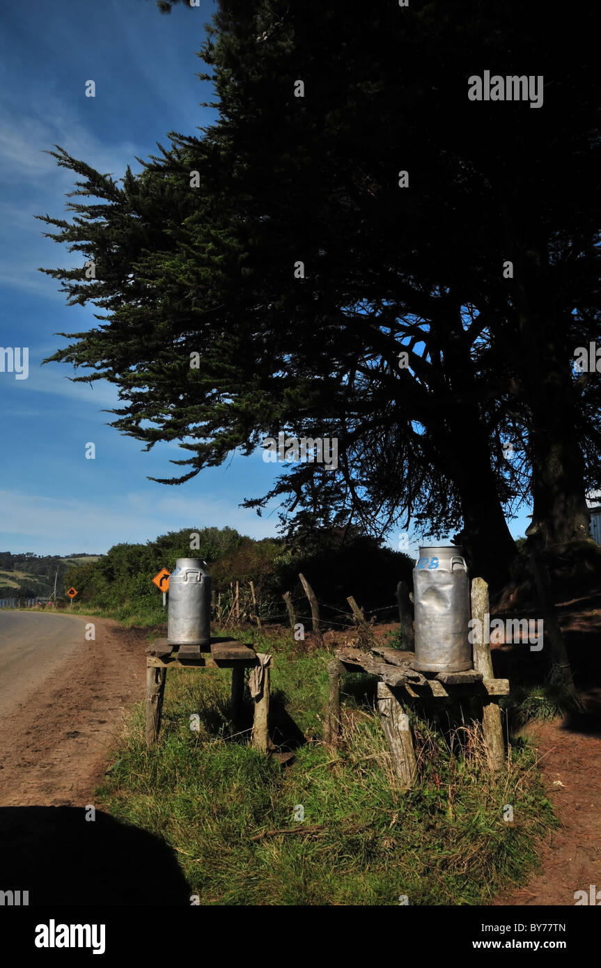 Blauer Himmel Porträt von drei Milchkannen auf Holztischen unter Bäumen am Straßenrand, an einem Bauernhof Eingang, Chiloé Insel, Chile Stockfoto