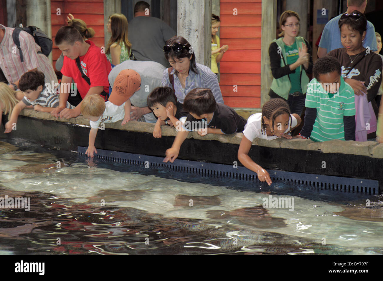 Atlanta Georgia, Pemberton Place, Georgia Aquarium, Habitat, Meeresleben, Asiatische Schwarzafrikanische Afrikaner, multiethnisch, Frau weibliche Frauen, junge Jungen männliche Mädchen, g Stockfoto