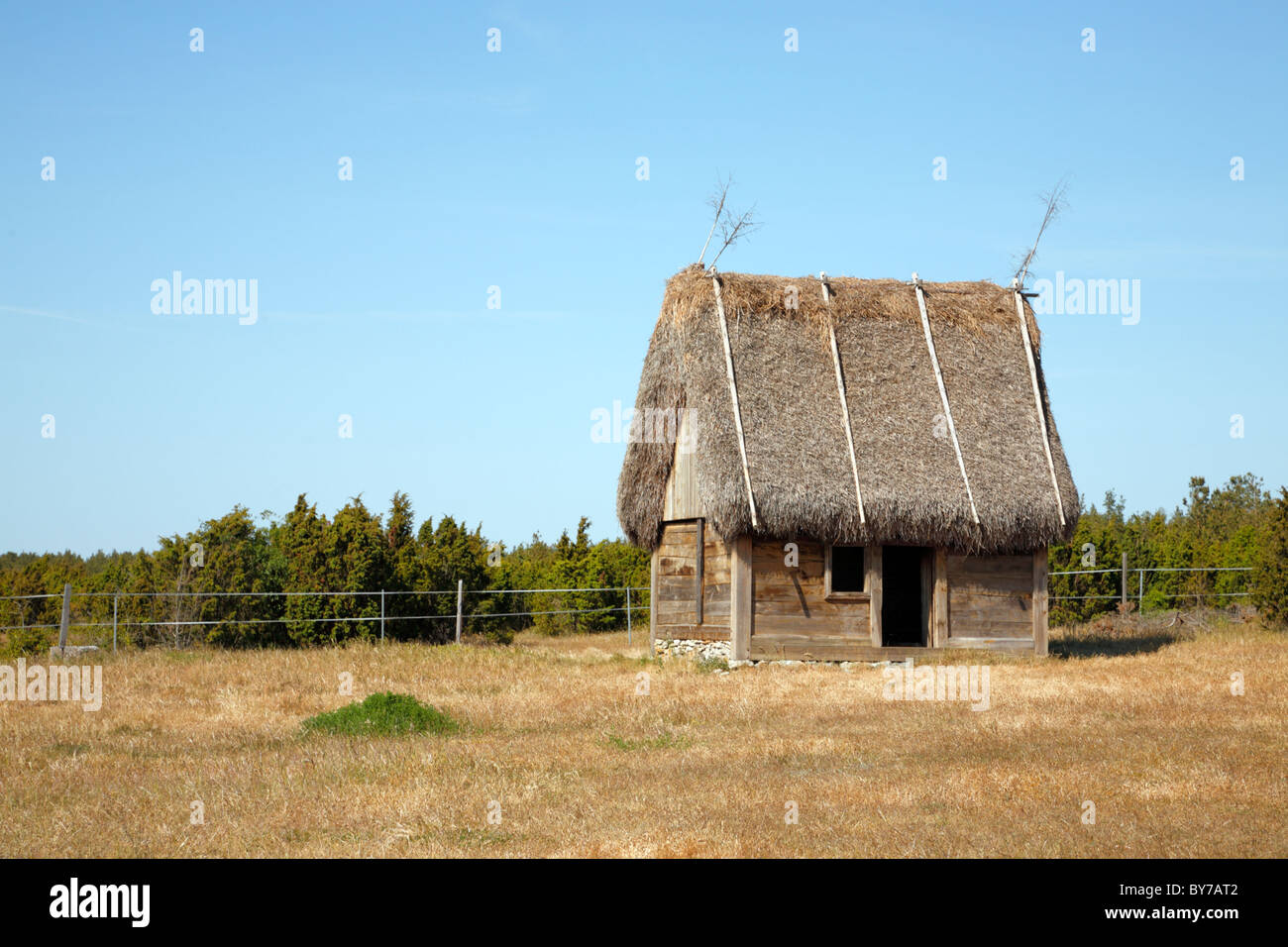 Alte Scheune Gebäude mit Strohdach auf der schwedischen Insel Gotland in der Ostsee. Symbole der Fruchtbarkeit auf dem Dach. Stockfoto