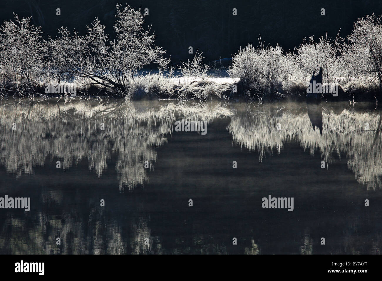Spiegelbild der Raureif auf dem schwarzen Wasser Stockfoto