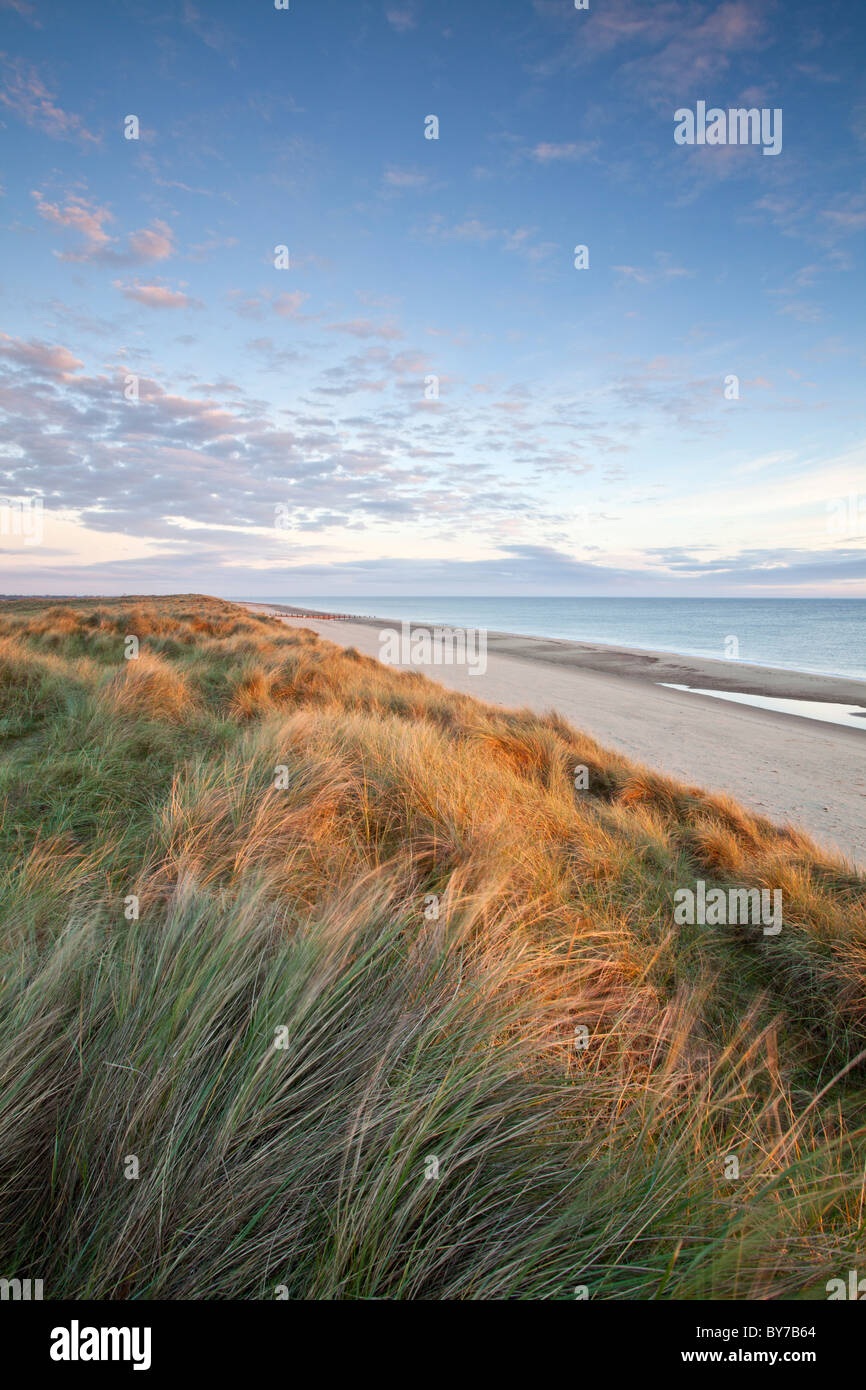 Sanddünen am Strand von Horsey genommen an der ersten Ampel an der Küste von Norfolk Stockfoto