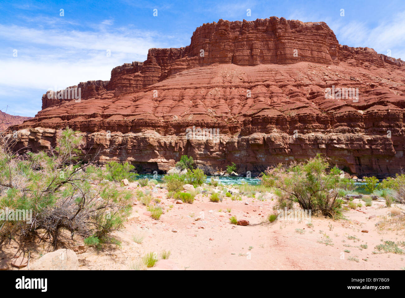 Colorado River in Lees Ferry, Arizona Stockfoto