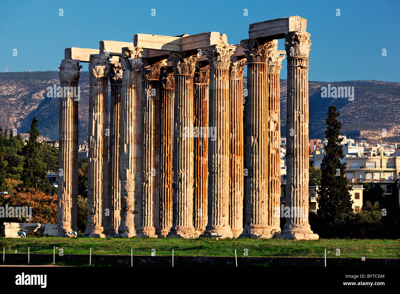 Spalten von der korinthischen Ordnung, vom Tempel des Olympischen Zeus in Athen, Griechenland Stockfoto