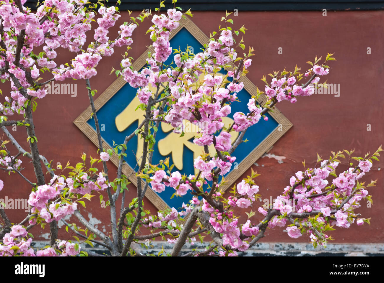 Asien, China, Peking. Frühling Blüten und Temple of Azure Clouds unterzeichnen; Duftende Hills Park (Xiangshan). Stockfoto