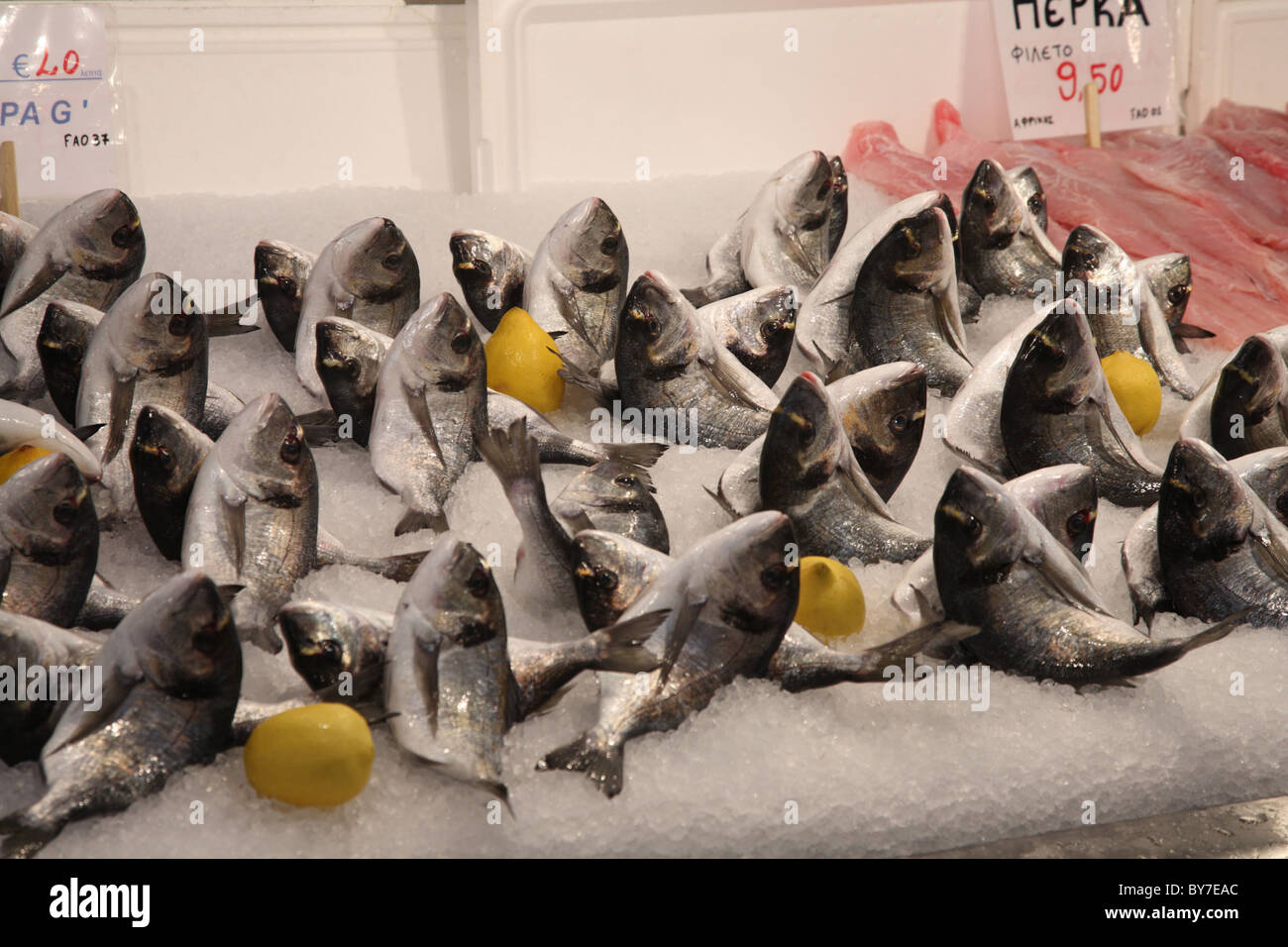 Fisch zum Verkauf an Athen zentralen Fischmarkt Athinas Street, Athen Stockfoto