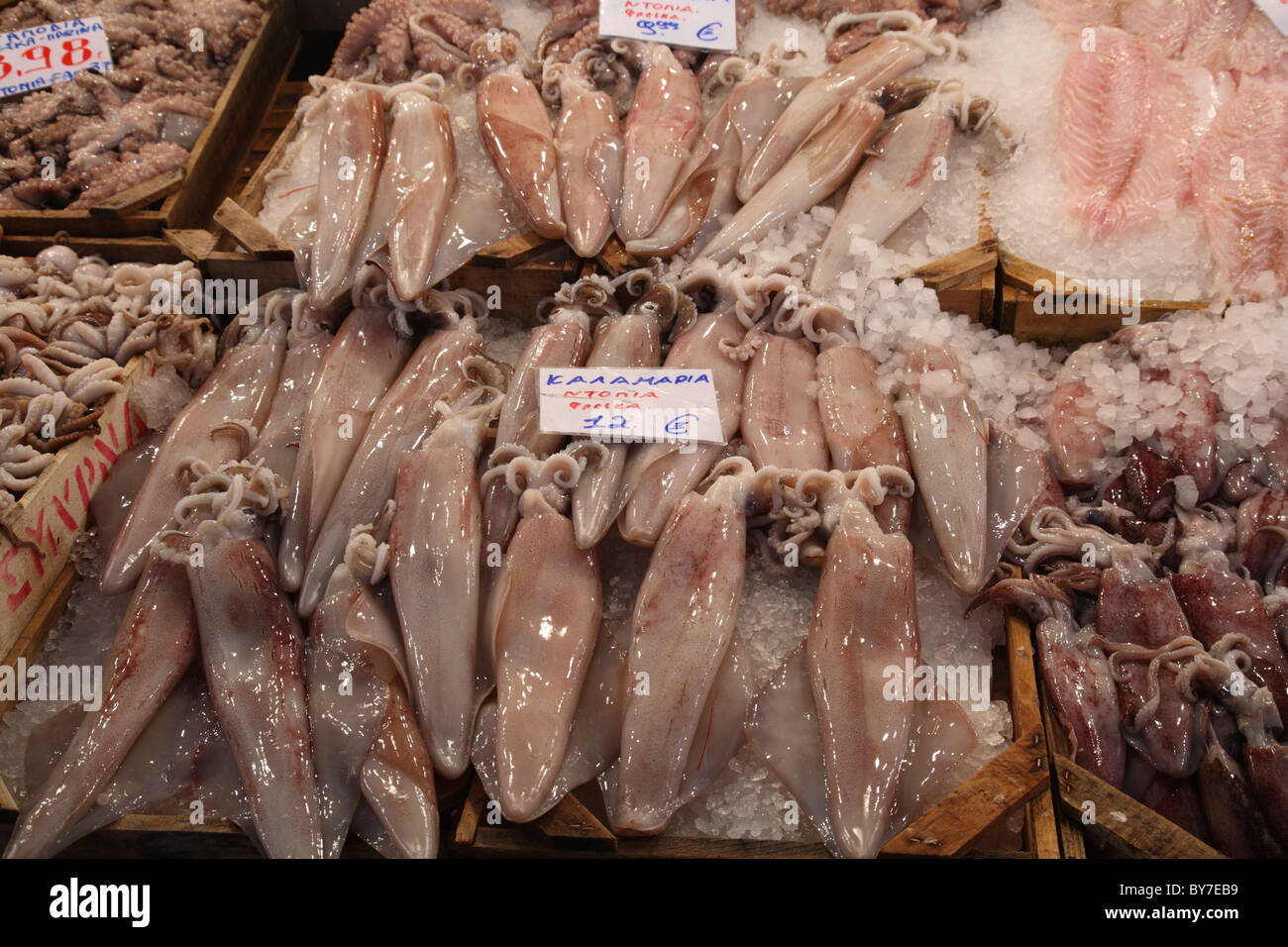 Tintenfisch im Verkauf bei Athen zentralen Fischmarkt Athinas Street, Athen Stockfoto