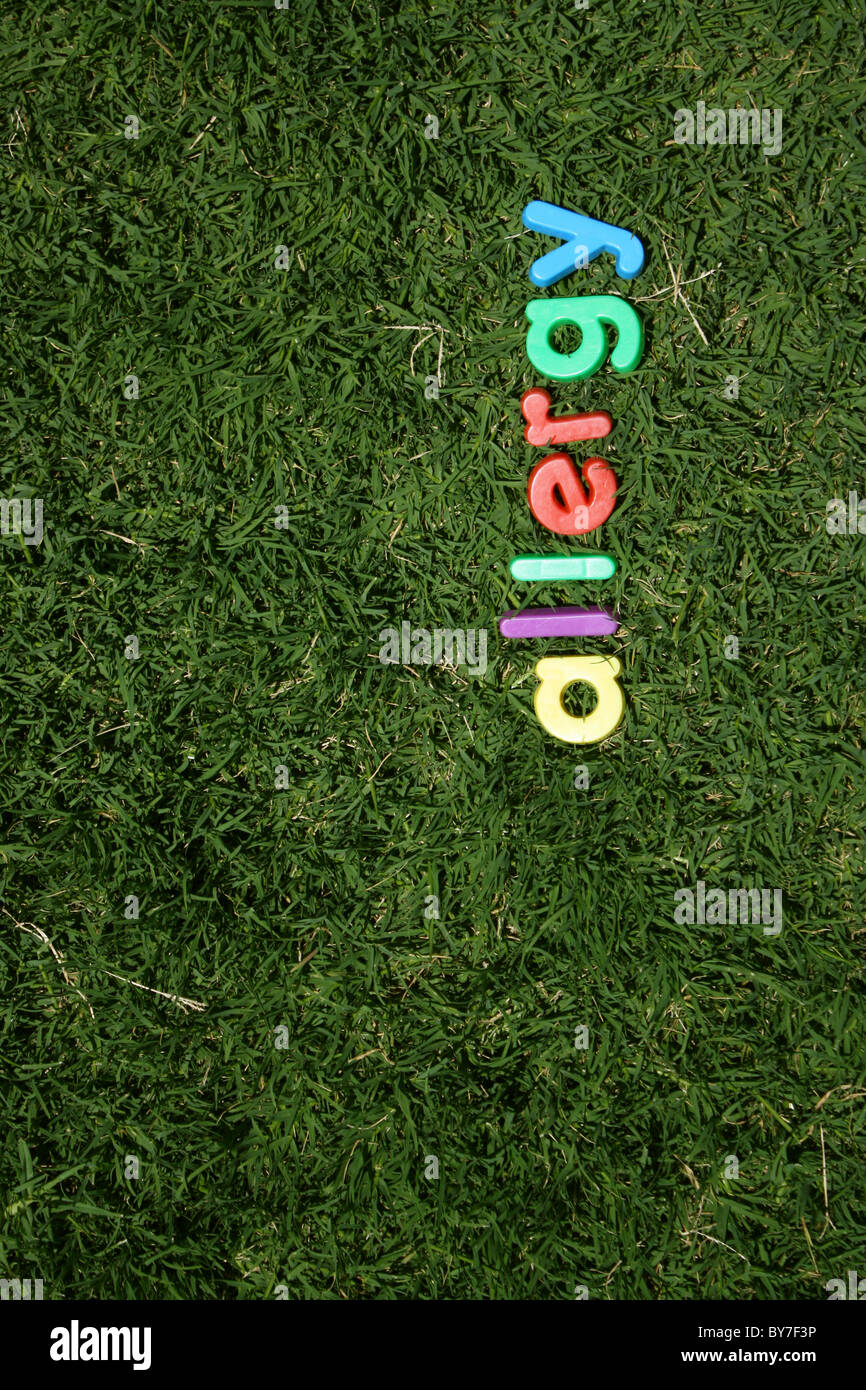 Die Wort "Allergie" dargelegt in bunten Buchstaben aus Kunststoff, auf dem grünen Rasen, genommen aus einem niedrigen Winkel Stockfoto
