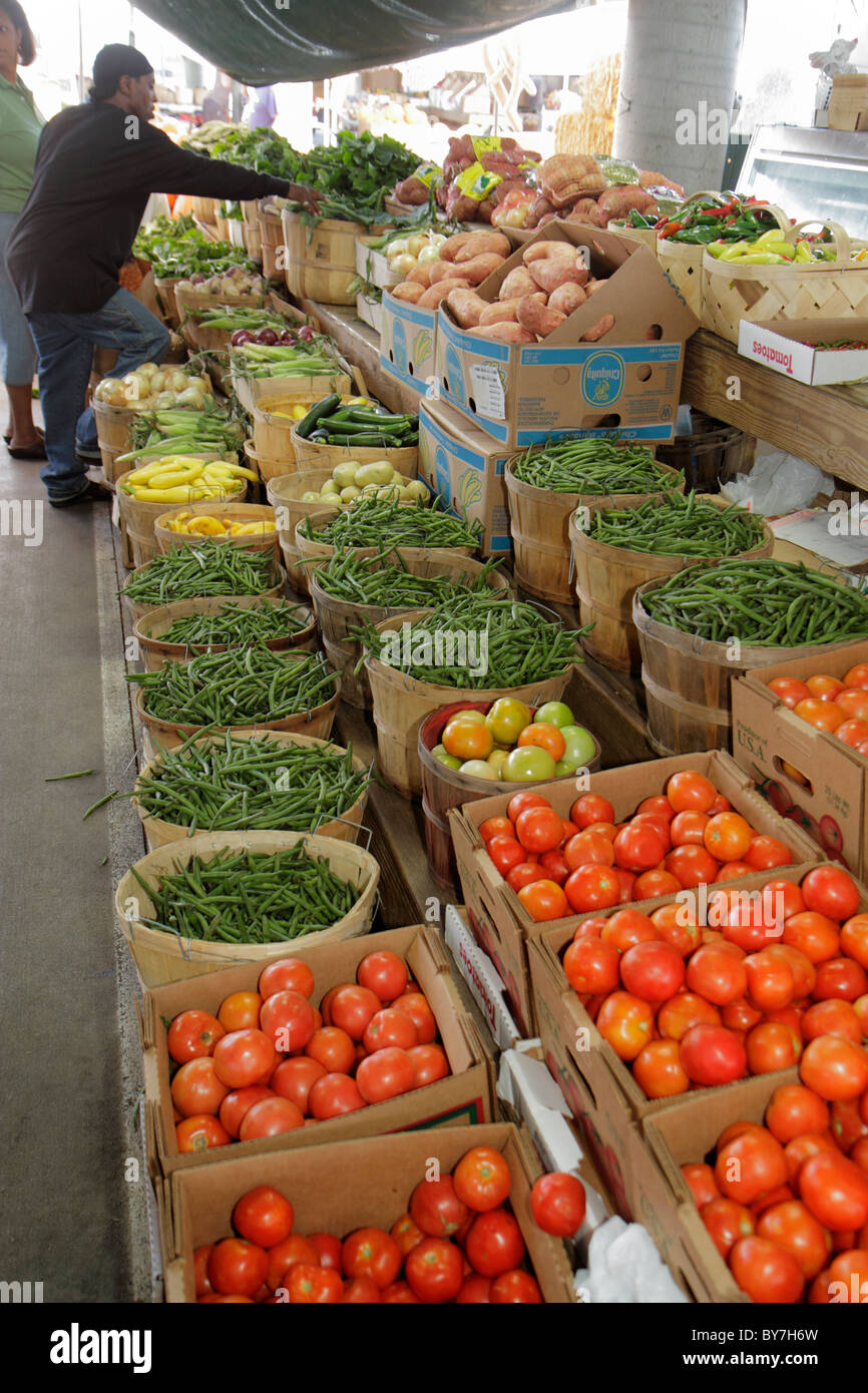 Tennessee Nashville, Nashville Farmers' Market, lokal angebaut, produzieren, Gemüse, frisch, Tomaten, Tomaten, Squash, grüne Bohnen, Yams, Zucchini, Nachhaltigkeit Stockfoto