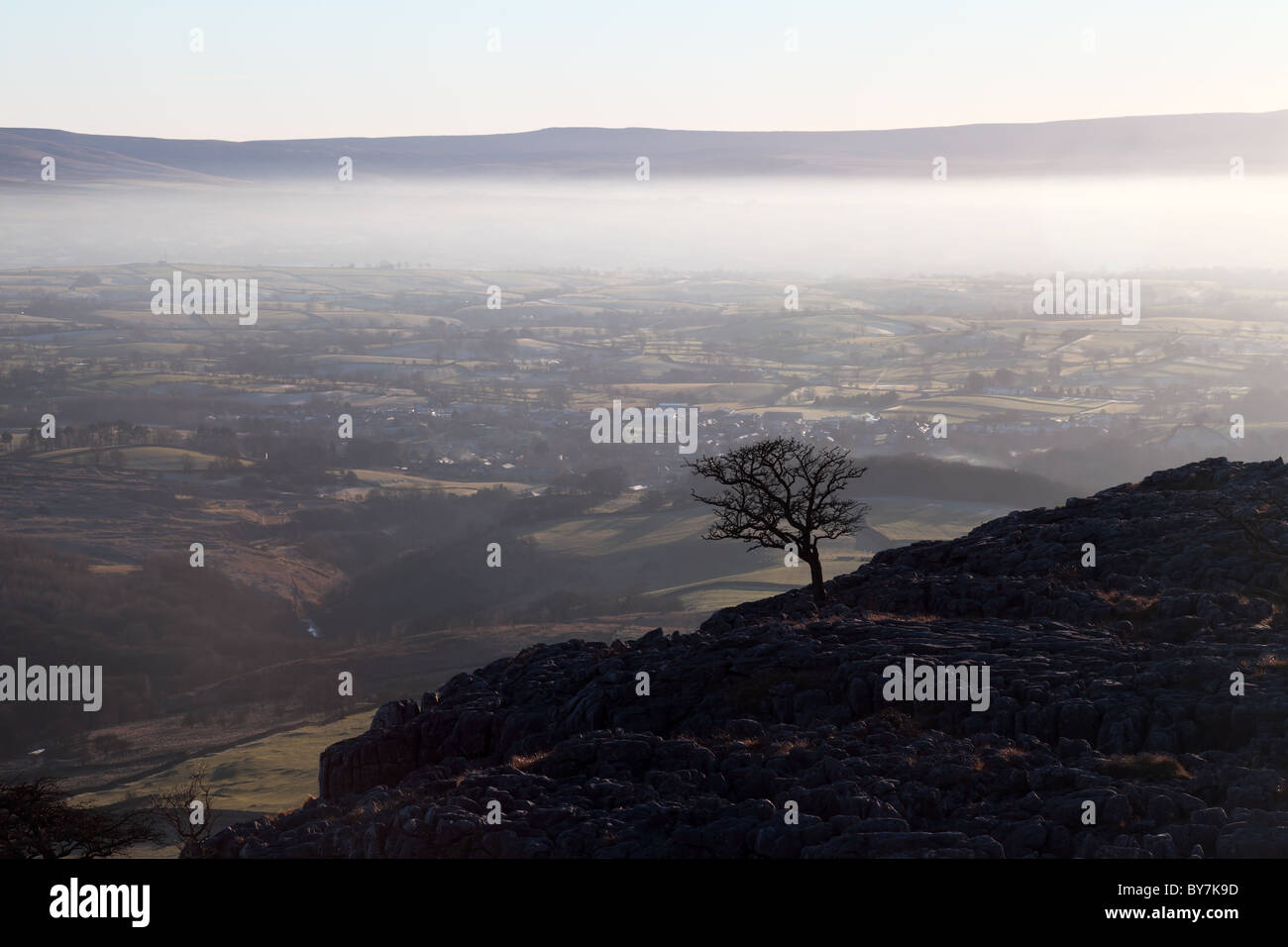 Isolierter Baum und Dunst über dem Dorf Ingleton von Twisleton Scar Yorkshire Dales UK aus gesehen Stockfoto