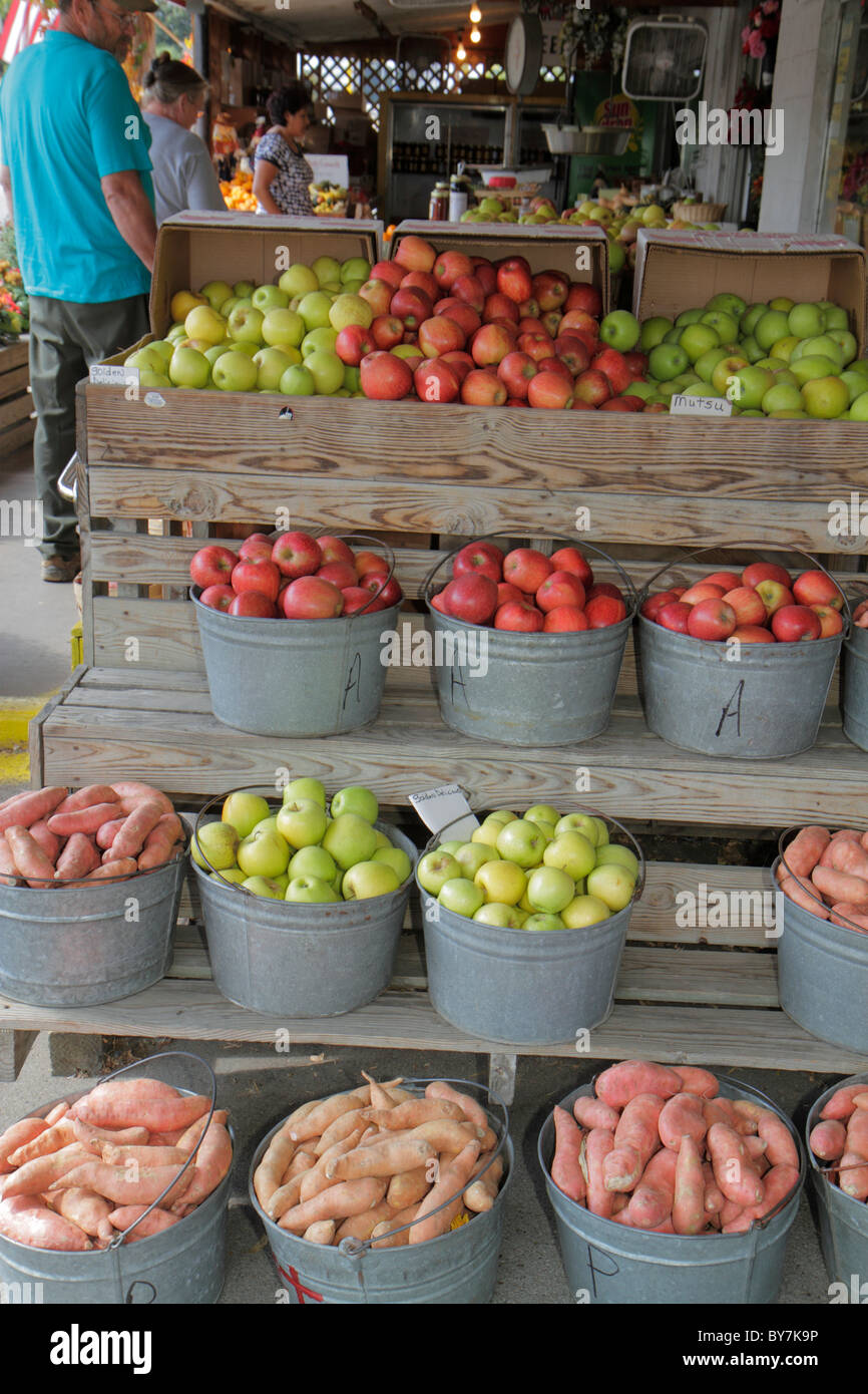 Tennessee Smithville, Griffin's Fruit Market, Farm Stand, lokale Produkte, Obst, Gemüse, Yams, Äpfel, rot, grün, Bushel, Shopping Shopper Shopper shoppen Geschäfte Stockfoto