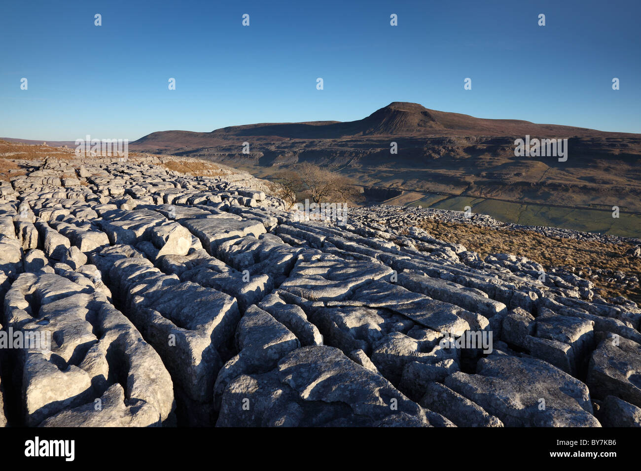 Der Berg Ingleborough aus Twisleton Scars Yorkshire Dales UK Stockfoto