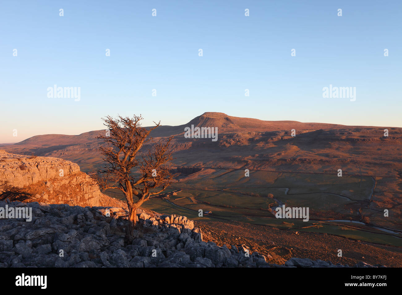 Der Berg Ingleborough aus Twisleton Scars Yorkshire Dales UK Stockfoto