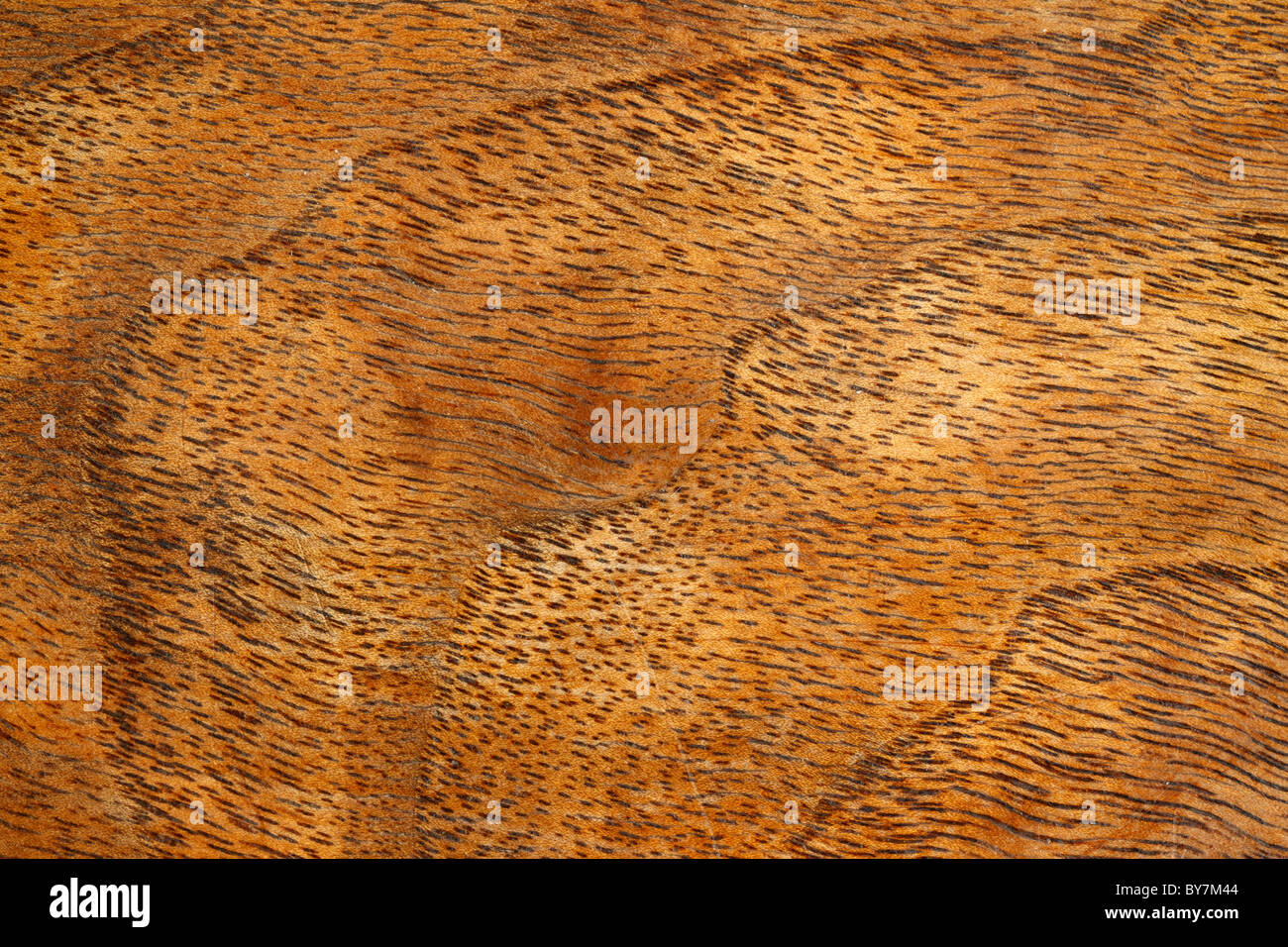 Detail des antiken Tischplatte zeigt Holzmaserung Detail hautnah. Stockfoto