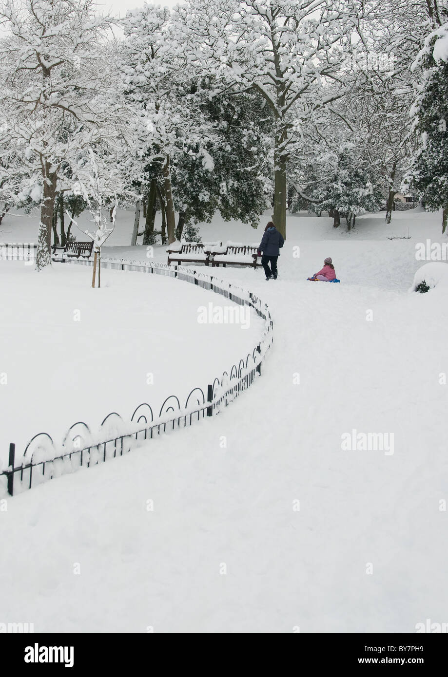 Schnee-Szene in botanischen Gärten, Churchtown Stockfoto