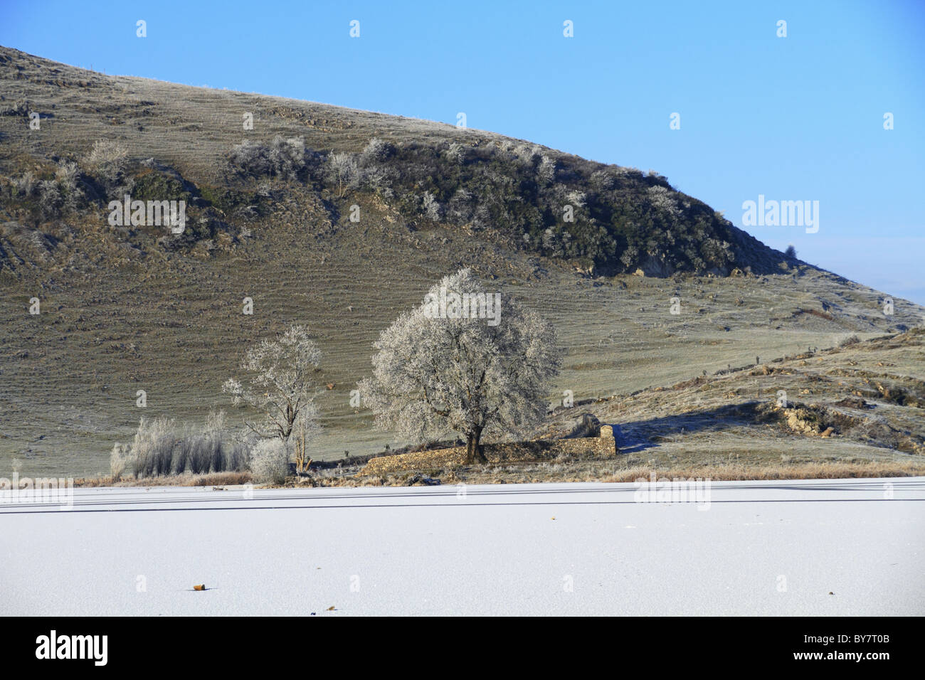 Die großen Einfrieren Winter 2010/2011 am Lough Gur, Co Limerick greift, Rep of Ireland. Stockfoto