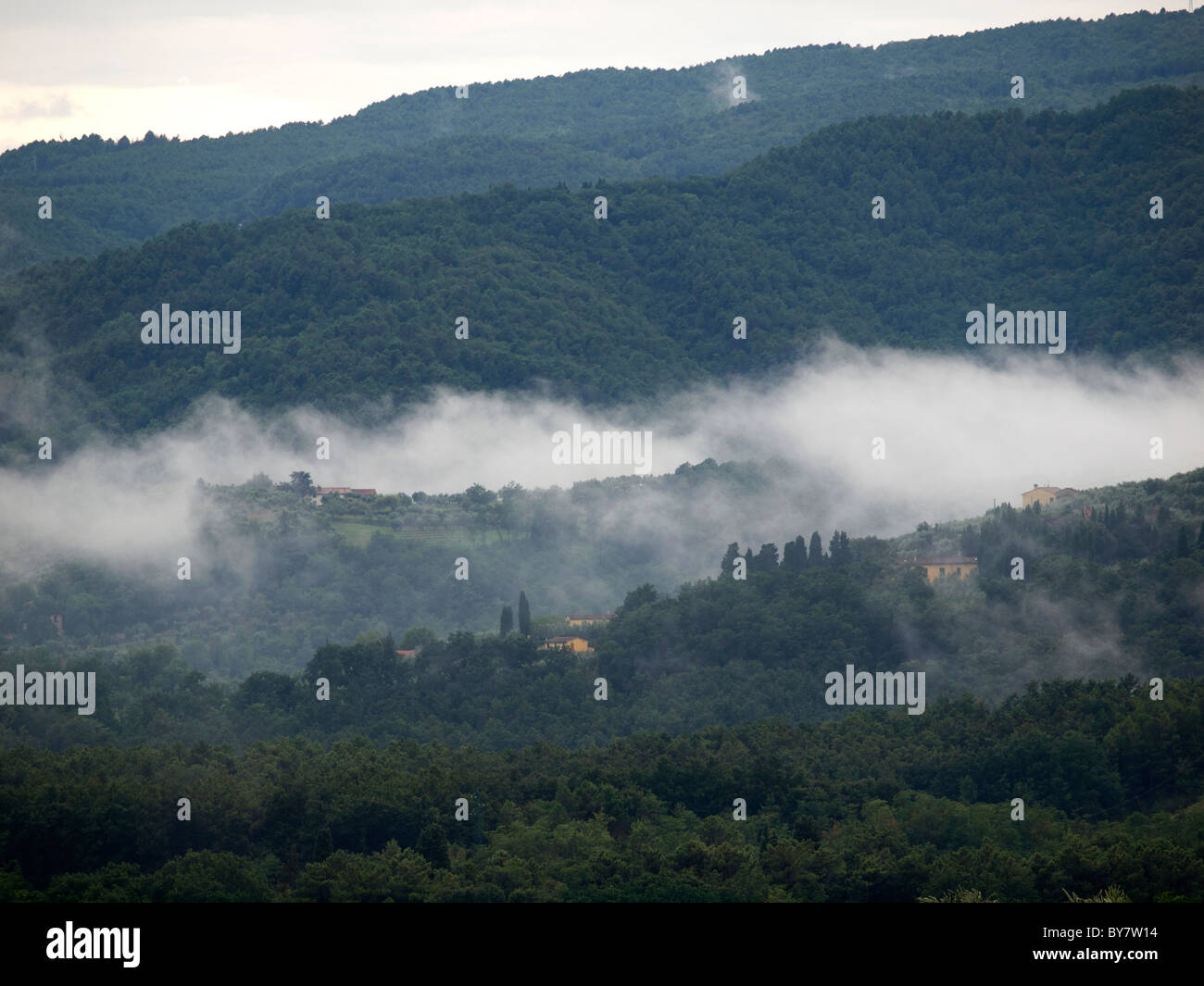 Am frühen Morgennebel in den grünen Hügeln von Pistoia, Toskana, Italien Stockfoto