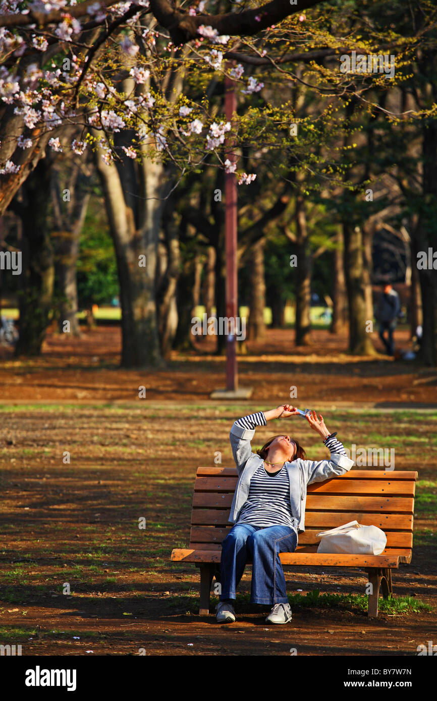 Japanische Frau sitzt auf der Parkbank in Shinjuku Gyoen fotografieren der Kirschblüte, Tokyo, Japan Stockfoto
