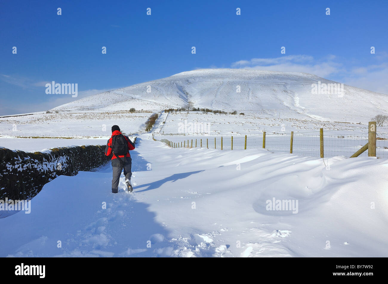 Ein Wanderer stapft durch Schneefall in Richtung Parlick Hecht in den Wald von Bowland Stockfoto