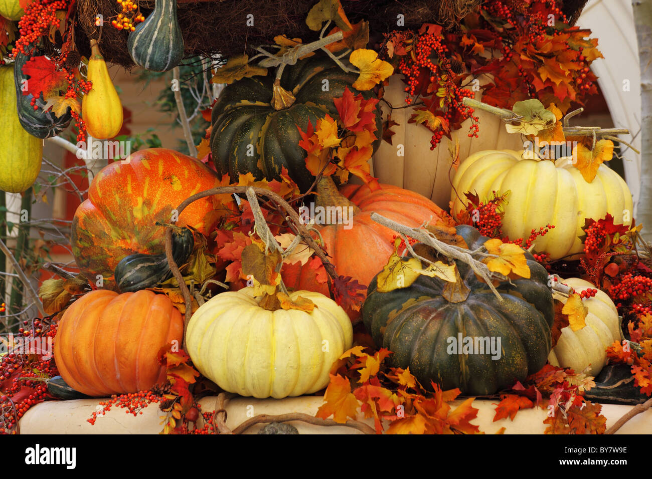 Die Körbe und Vasen mit bunten Kürbisse, Blumen und Blätter im Herbst Stockfoto