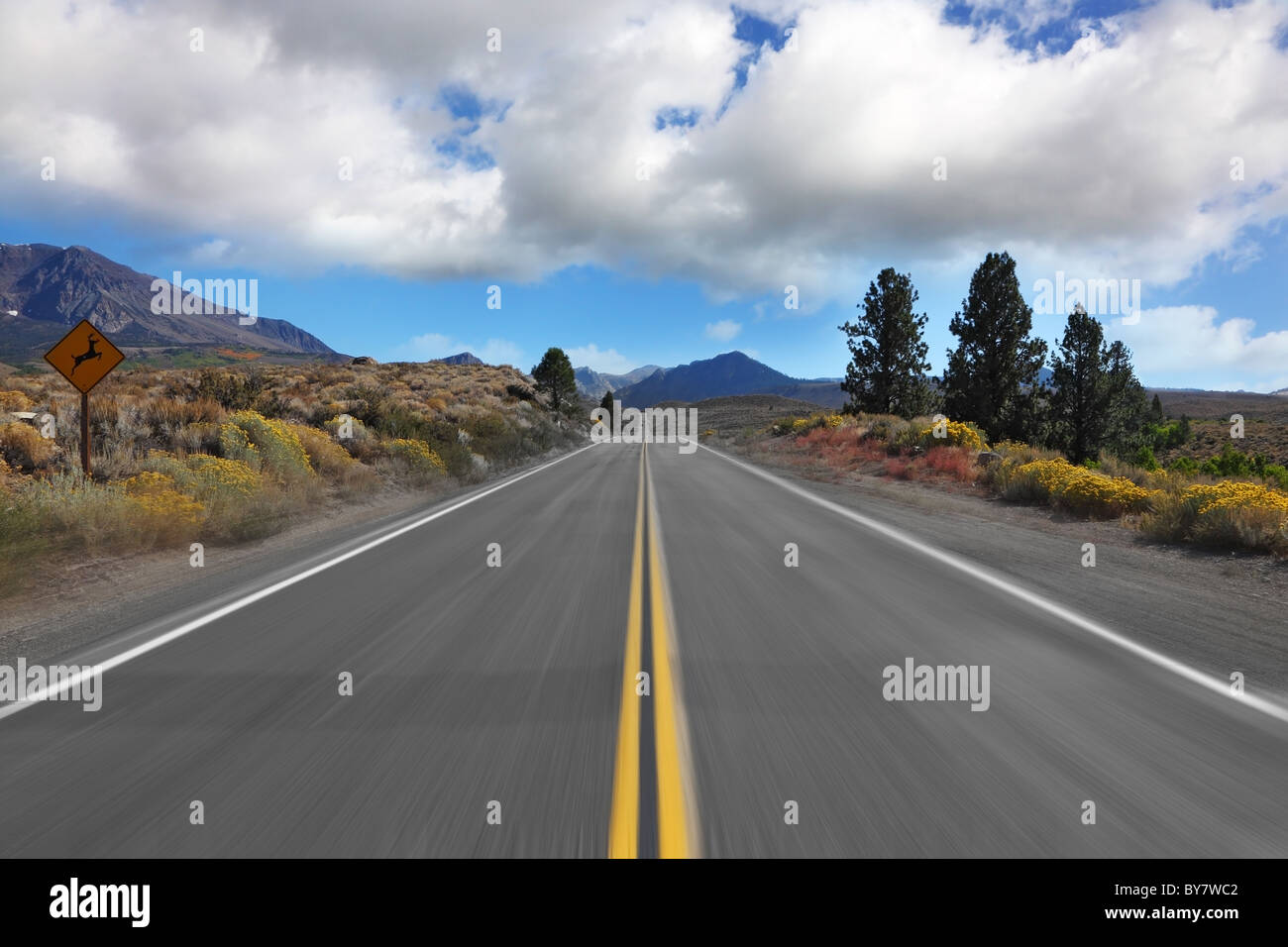 Fahrt mit hoher Geschwindigkeit. Wir gehen mit hoher Geschwindigkeit durch eine malerische Steppen zu den fernen Bergen. Stockfoto