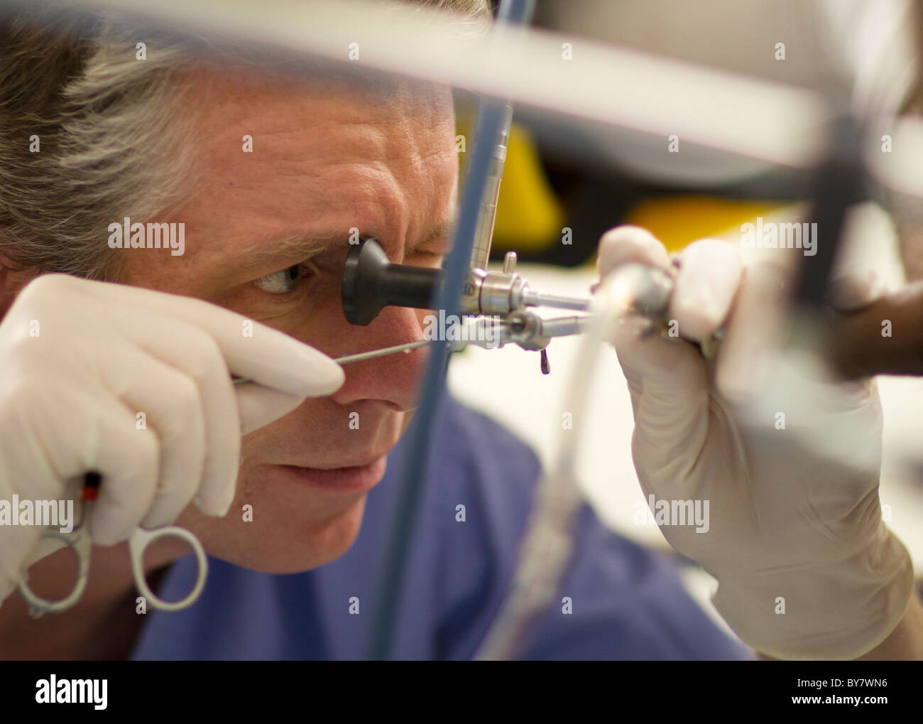 Ein Urologe eine Blasenspiegelung durchführen, um einen Fremdkörper aus der Blase (in diesem Fall ein radioaktives Implantat) zu entfernen. Stockfoto
