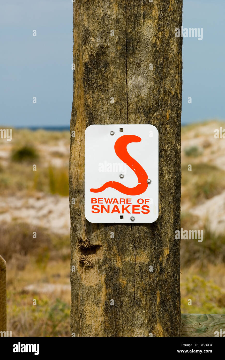 Schlange Warnschild am Telegraphenmast in der largs Bay Beach Gegend ein Vorort von Adelaide in Südaustralien. Stockfoto