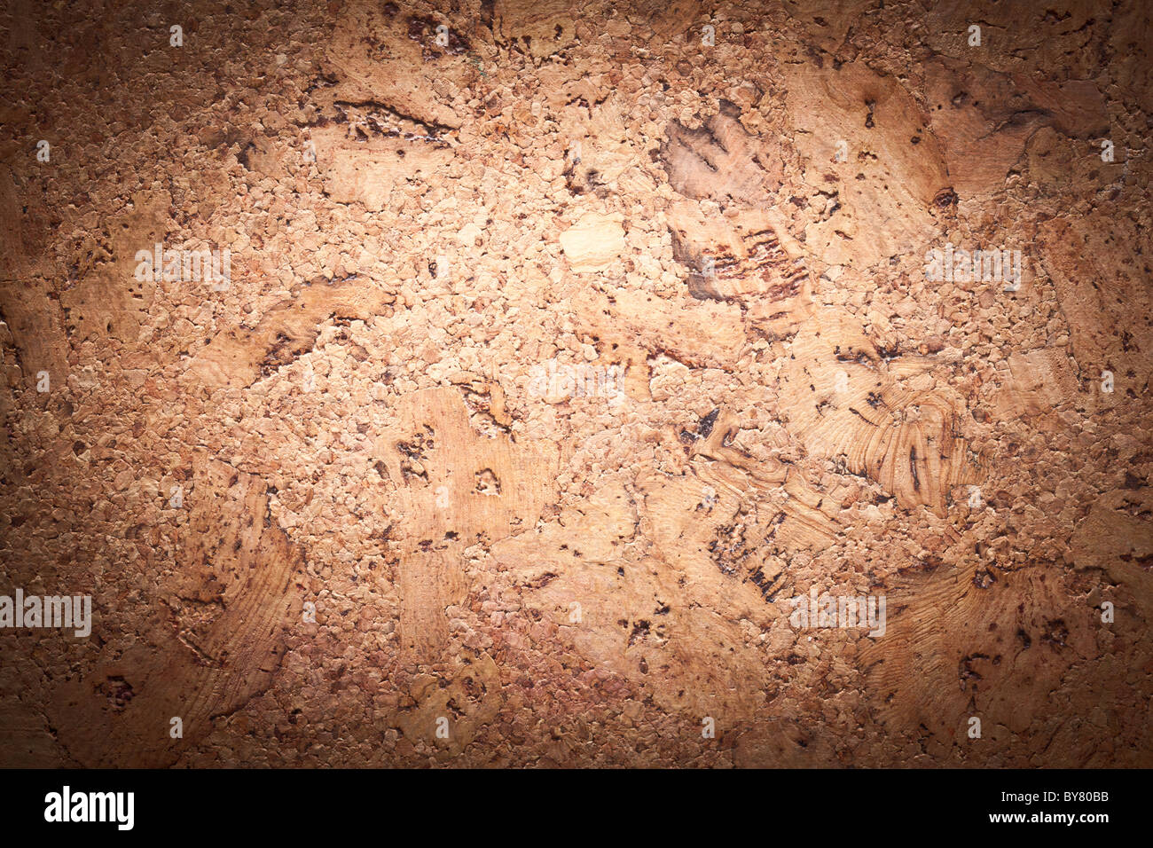 Bild Textur Kork - Oberfläche des Holzes. Stockfoto