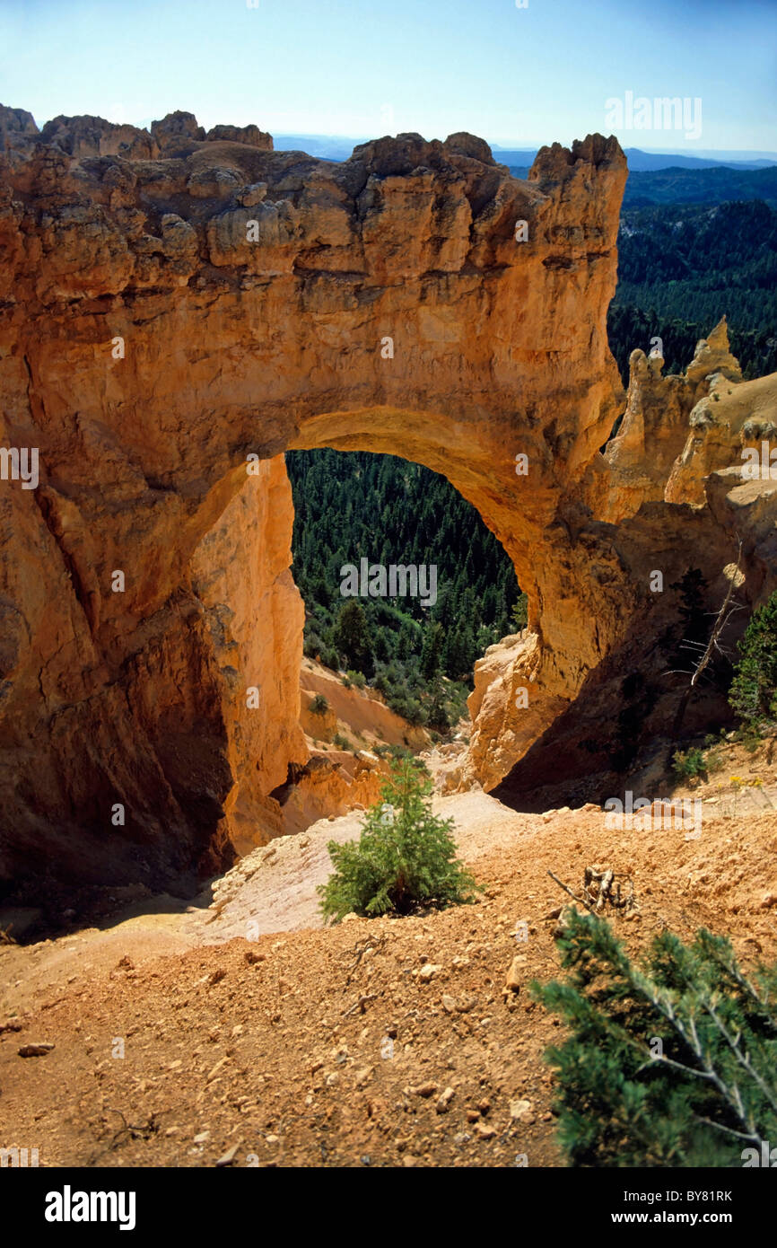 Blick durch eine Felsformation im Bryce-Canyon-Nationalpark, Utah, USA. Stockfoto