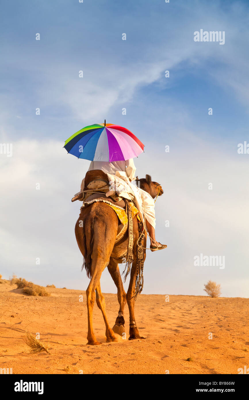 Indien, Rajasthan, Stammesangehörige auf Kamel mit bunten Regenschirm Stockfoto