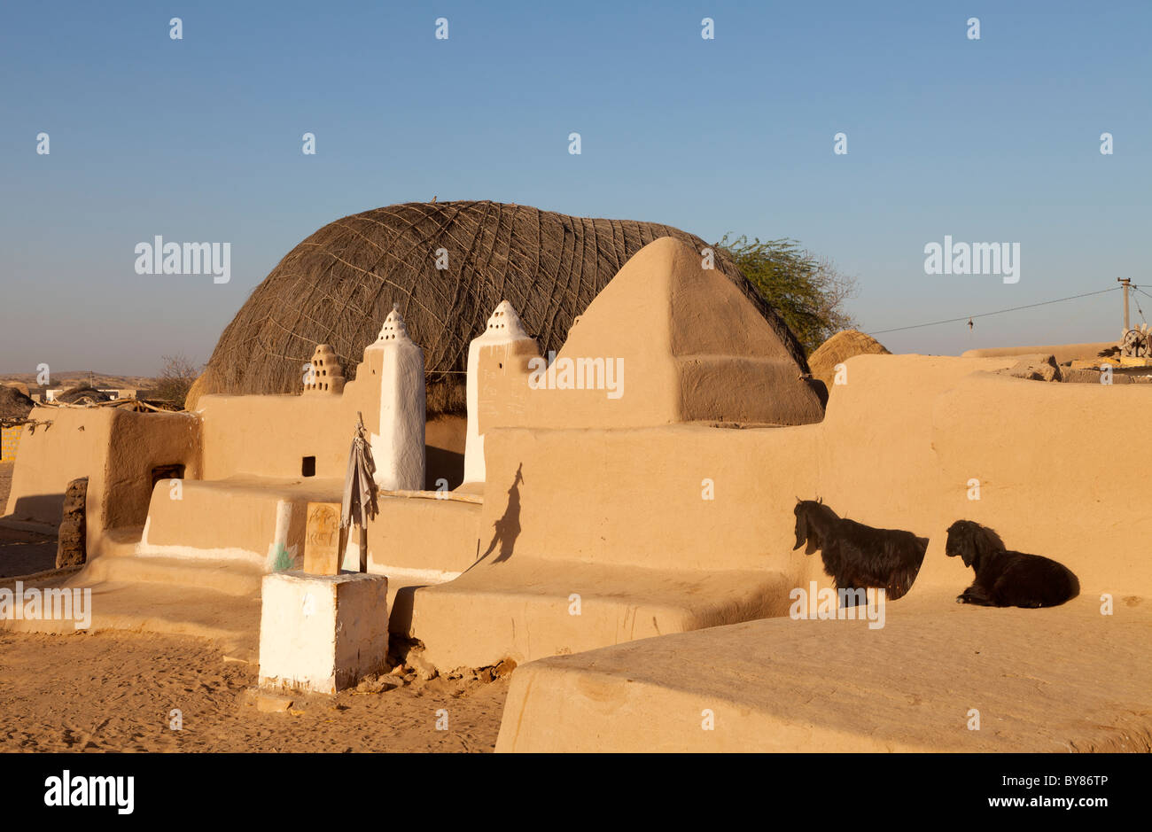 Indien, Rajasthan, Thar-Wüste, Wüste Heimat Stockfoto
