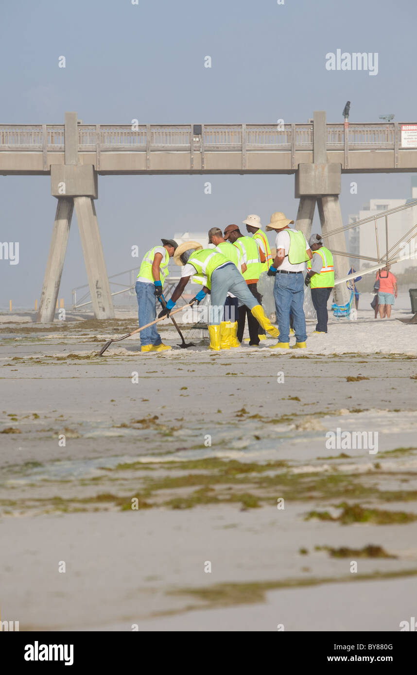 PENSACOLA BEACH - Juli 7: Öl Arbeitnehmer weiterhin reinigen Sie den Strand von Öl am 7. Juli 2010 in Pensacola Beach, FL. Stockfoto