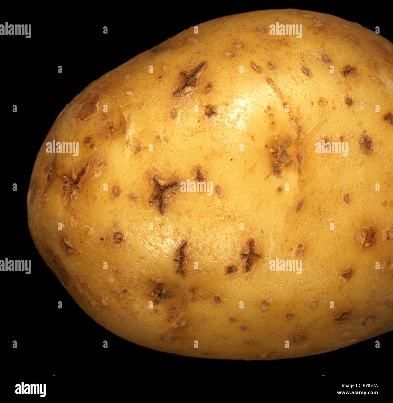 Sterne Riss Läsionen auf der Hautoberfläche eine Kartoffelknolle Stockfoto