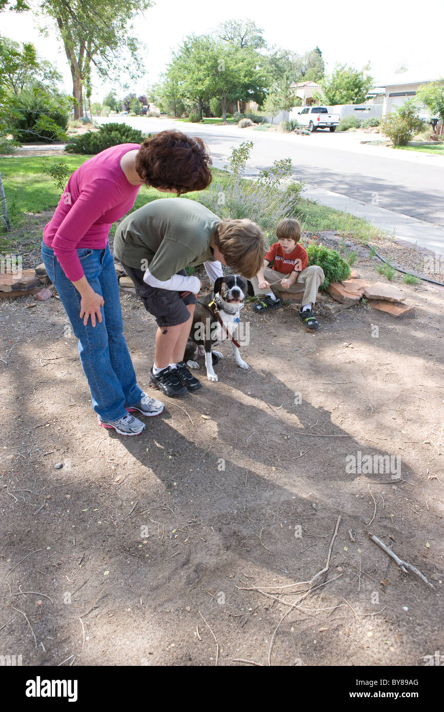 Tiertrainer weist elf Jahres altes Kind, Pat und Belohnung Hund für gutes Benehmen. Stockfoto