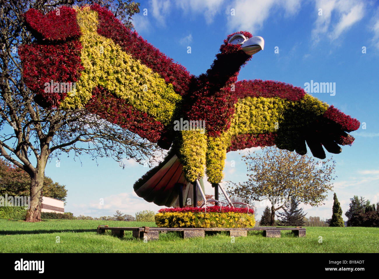Formschnitt Eco-Skulptur, Burnaby, BC, Britisch-Kolumbien, Kanada - Kunst im öffentlichen Raum, Urban Artwork, lebende Pflanzen in Adler Vogel-Skulpturen Stockfoto