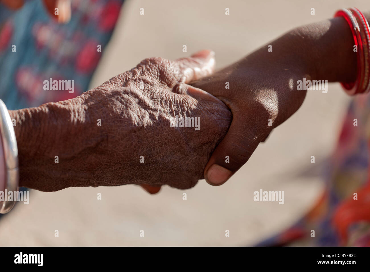 Indien, Rajasthan, Jodhpur, junge und alte Hasen miteinander verbunden Stockfoto