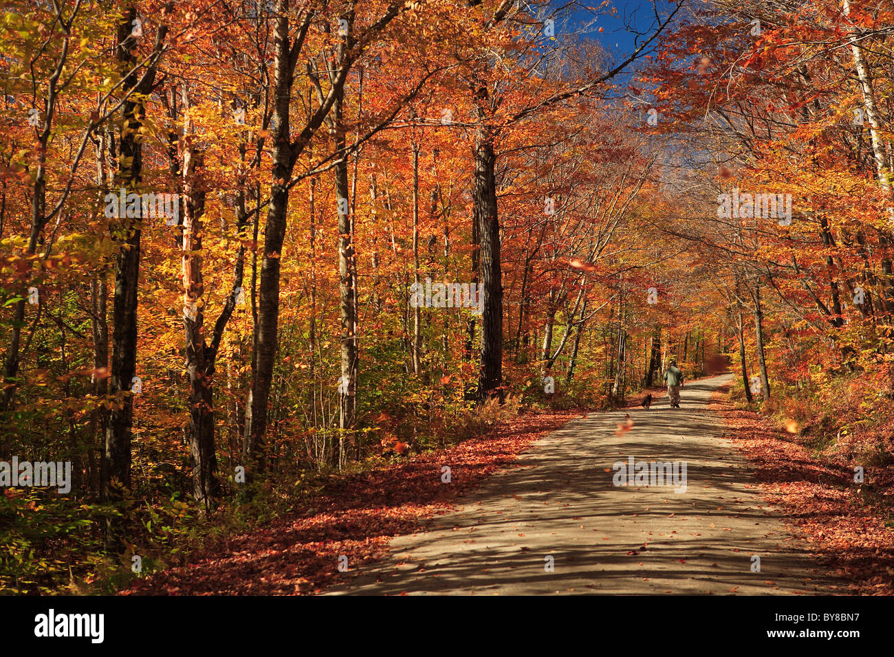 Landstraßen im Herbst Stockfoto