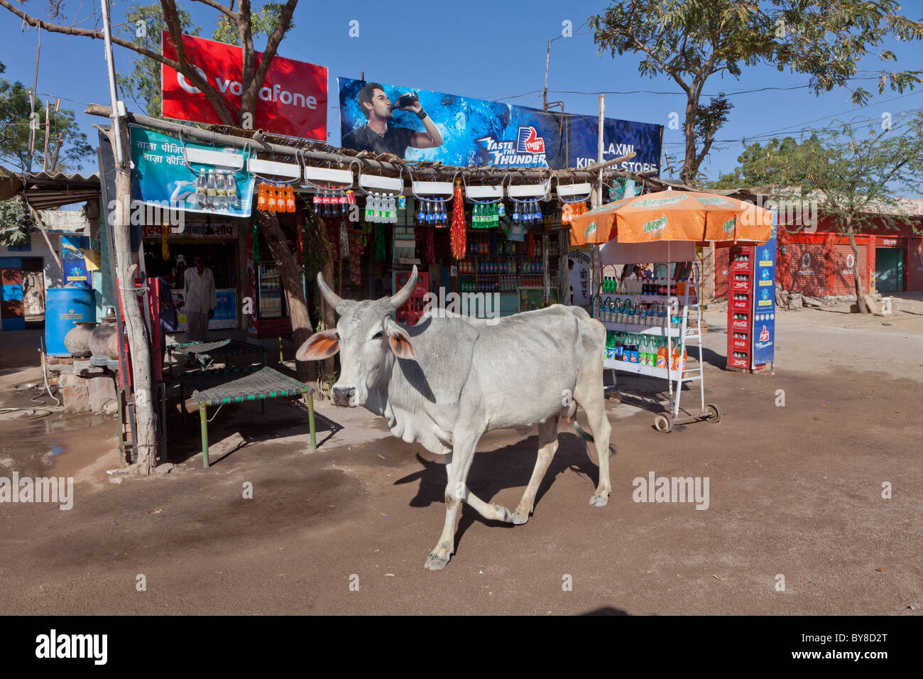 Indien, Rajasthan, Jodhpur, typische am Straßenrand Shop mit Kuh vor dem Eingang vorbei Stockfoto