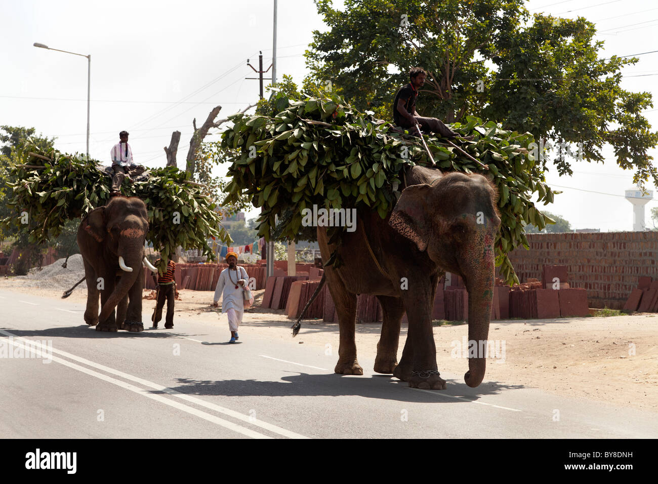 Indien, Uttar Pradesh, Agra, zwei Arbeiten Elefanten und mahouts Stockfoto