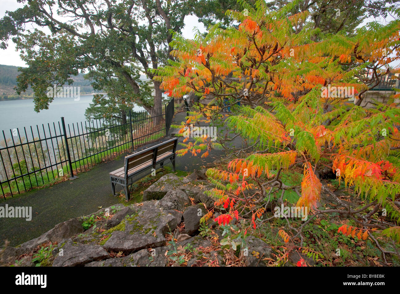 Fallen Sie farbige Sumach und Columbia River im Columbia River Gorge Hotel. Stockfoto