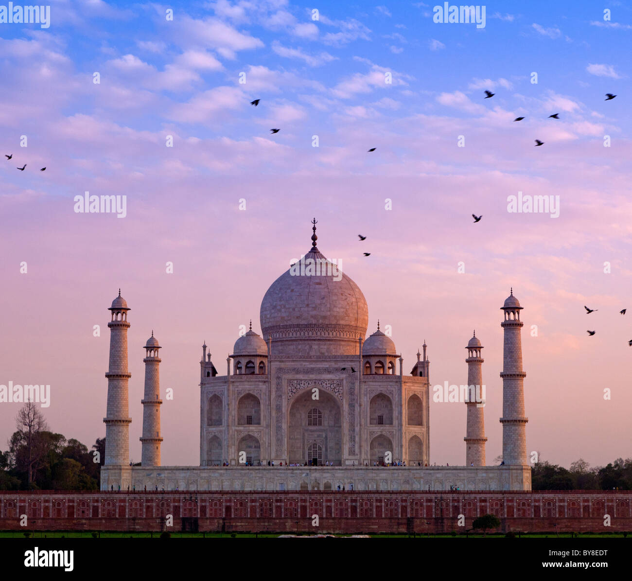Indien, Agra, Uttar Pradesh Vögel fliegen in der Nähe von Taj Mahal in den späten Abend Licht Stockfoto