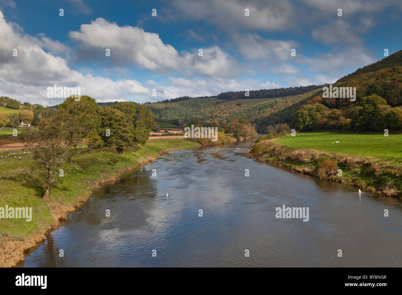 MÄNNER, DIE FISCHEREI AUF LACHS AM FLUSS WYE STROMAUFWÄRTS VON BIGSWEIR BRÜCKE WALES/ENGLAND GRENZEN. Stockfoto