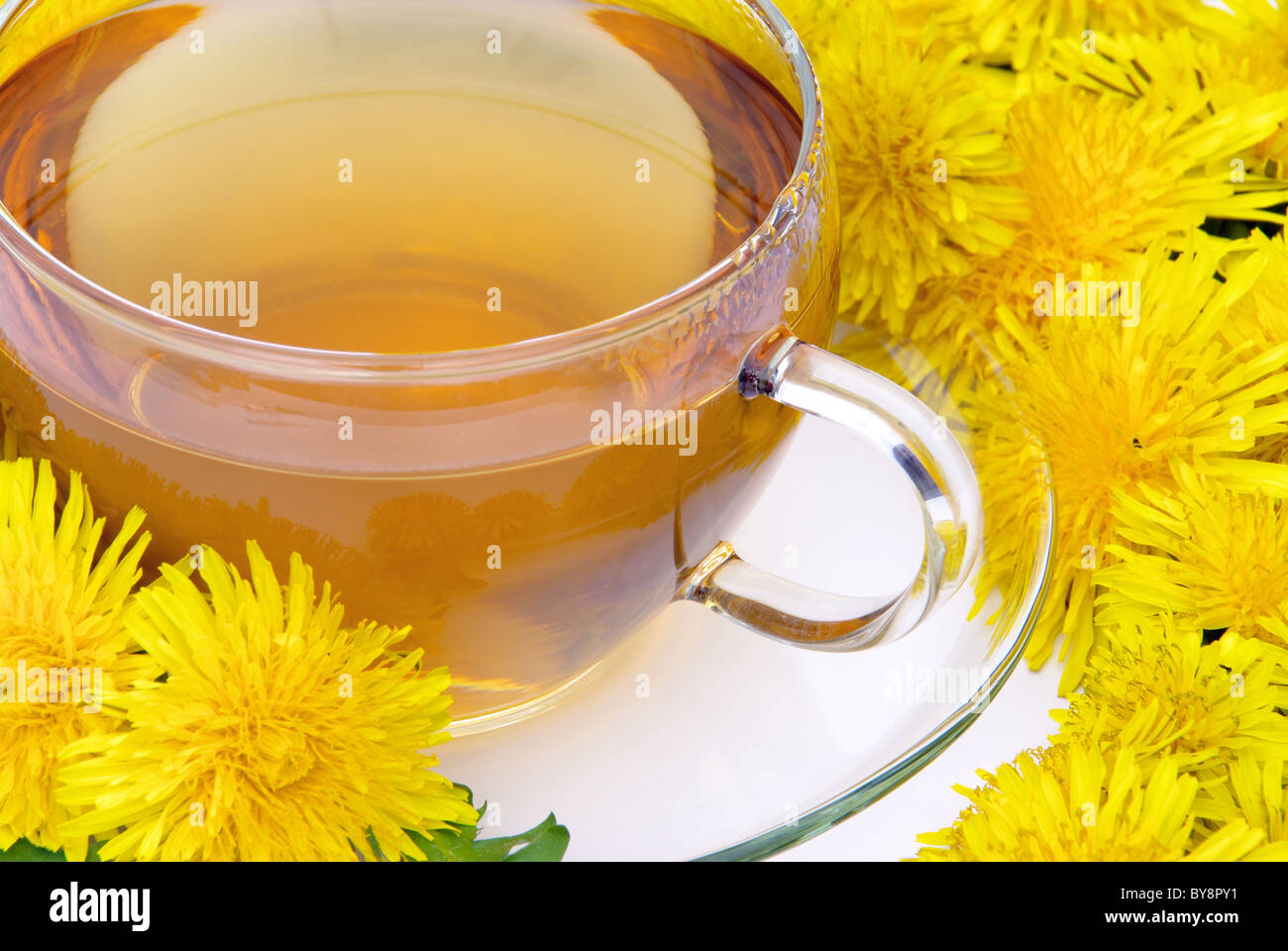 T-Stück-Löwenzahn - Löwenzahn Tee 07 Stockfoto