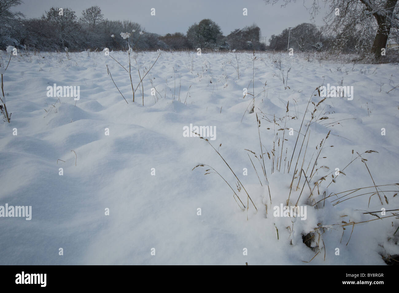 Unberührten Schnee überdachten Bereich, Dorset UK. Stockfoto