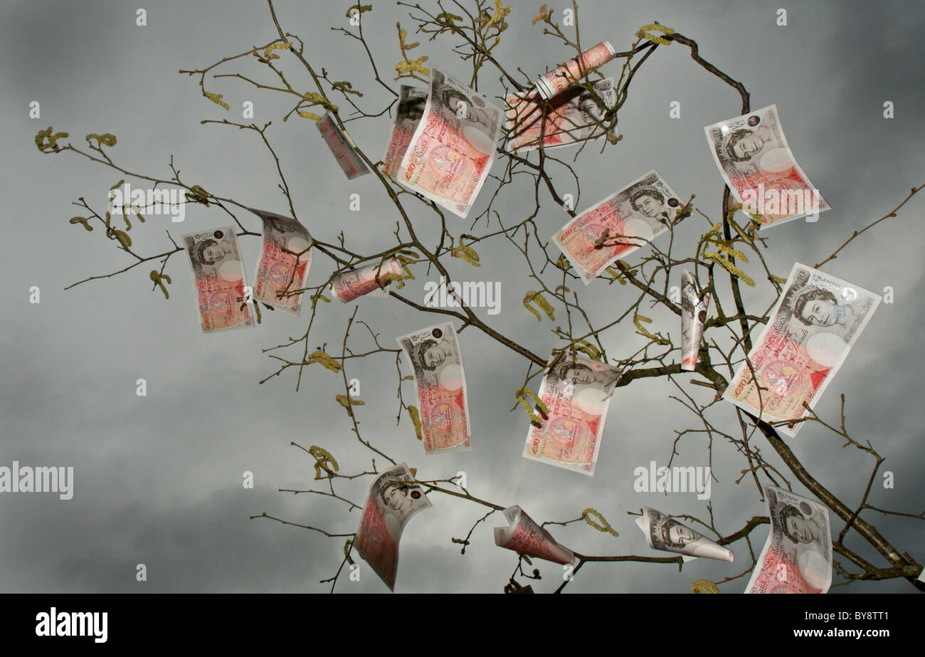 Es gibt ein altes Sprichwort im Vereinigten Königreich, das Geld nicht auf Bäumen wächst - hier scheint es, dass dies der Fall ist. Stockfoto